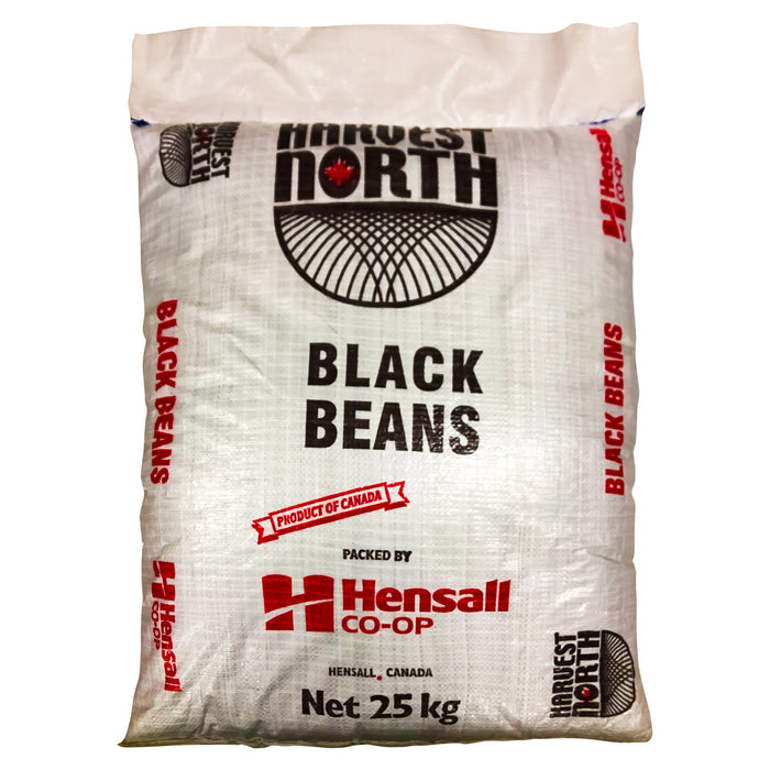 Black Beans (dry) - 25Kg