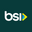 logo of Brazilian Style Imports